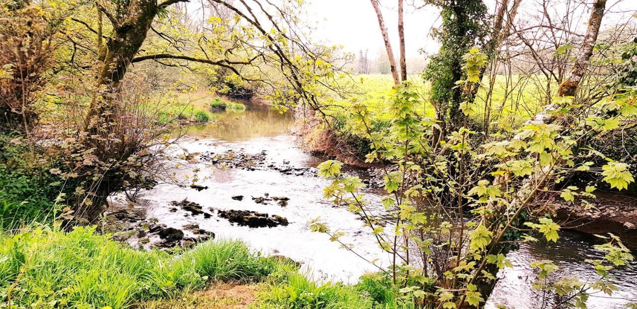 Kingsley Cottage - Beautiful Riverside Setting Beaworthy Extérieur photo