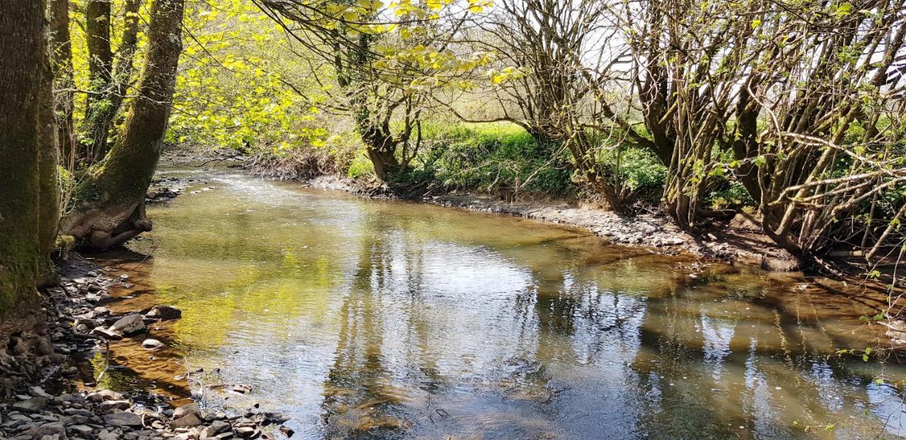 Kingsley Cottage - Beautiful Riverside Setting Beaworthy Extérieur photo