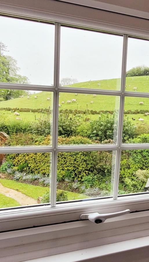 Kingsley Cottage - Beautiful Riverside Setting Beaworthy Extérieur photo
