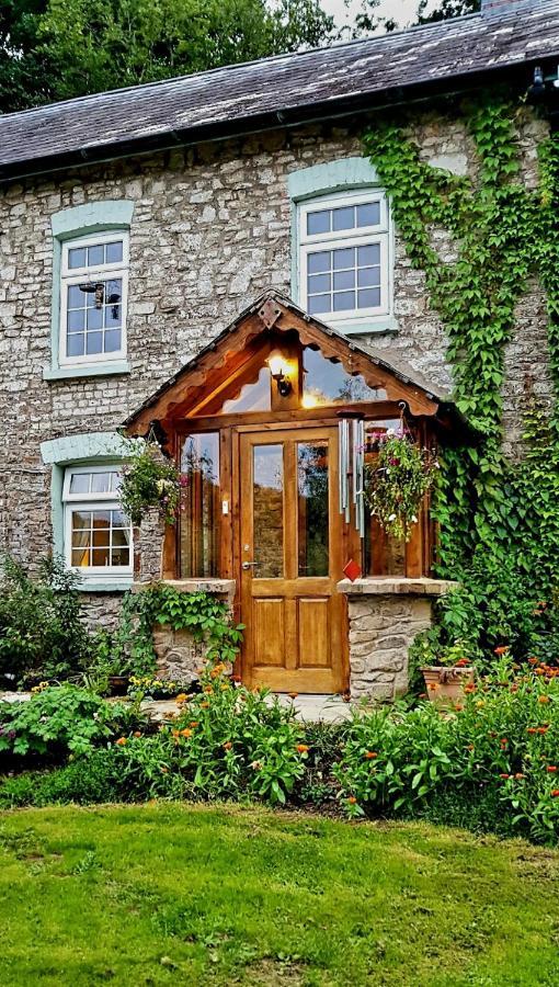 Kingsley Cottage - Beautiful Riverside Setting Beaworthy Extérieur photo