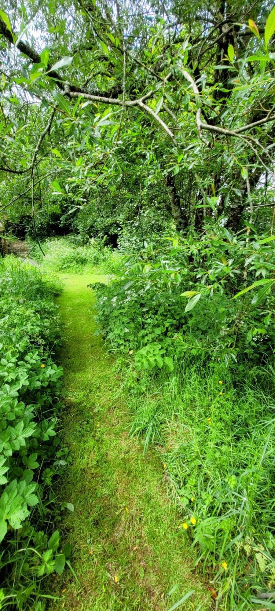 Kingsley Cottage - Beautiful Riverside Setting Beaworthy Extérieur photo