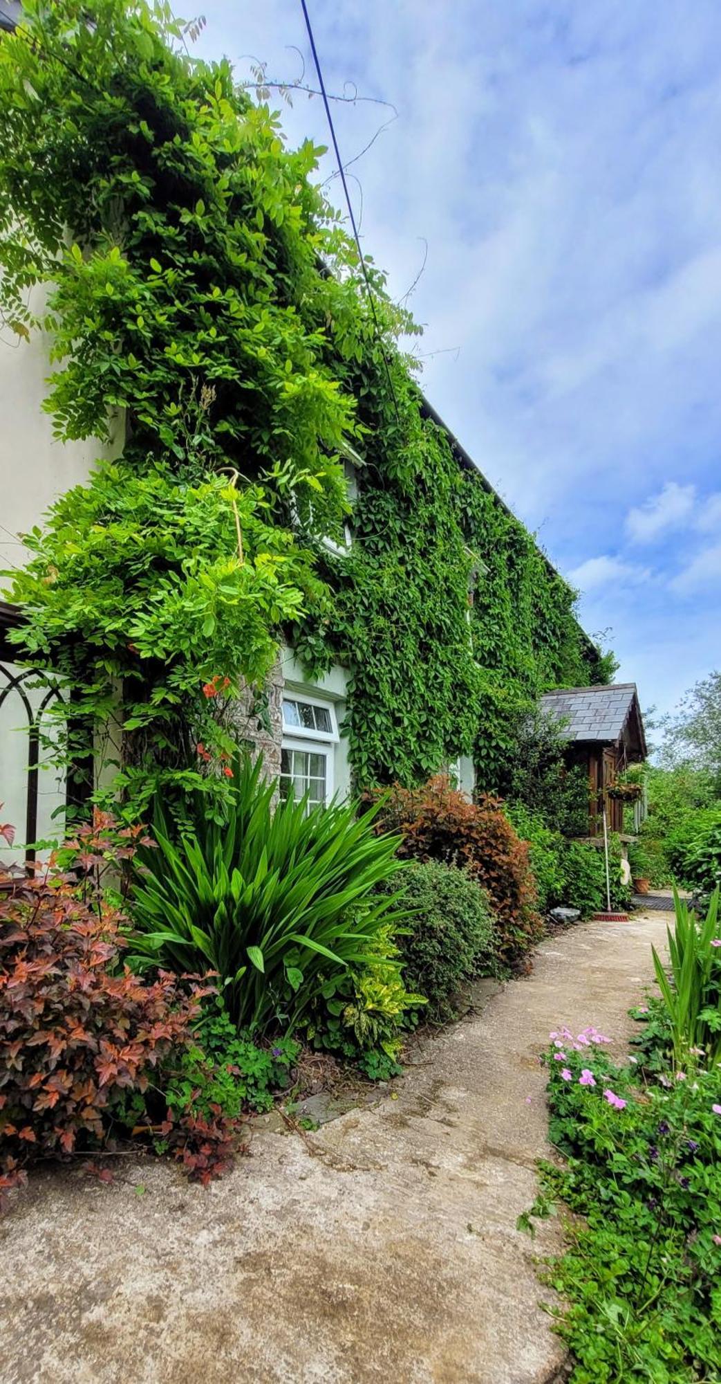 Kingsley Cottage - Beautiful Riverside Setting Beaworthy Extérieur photo