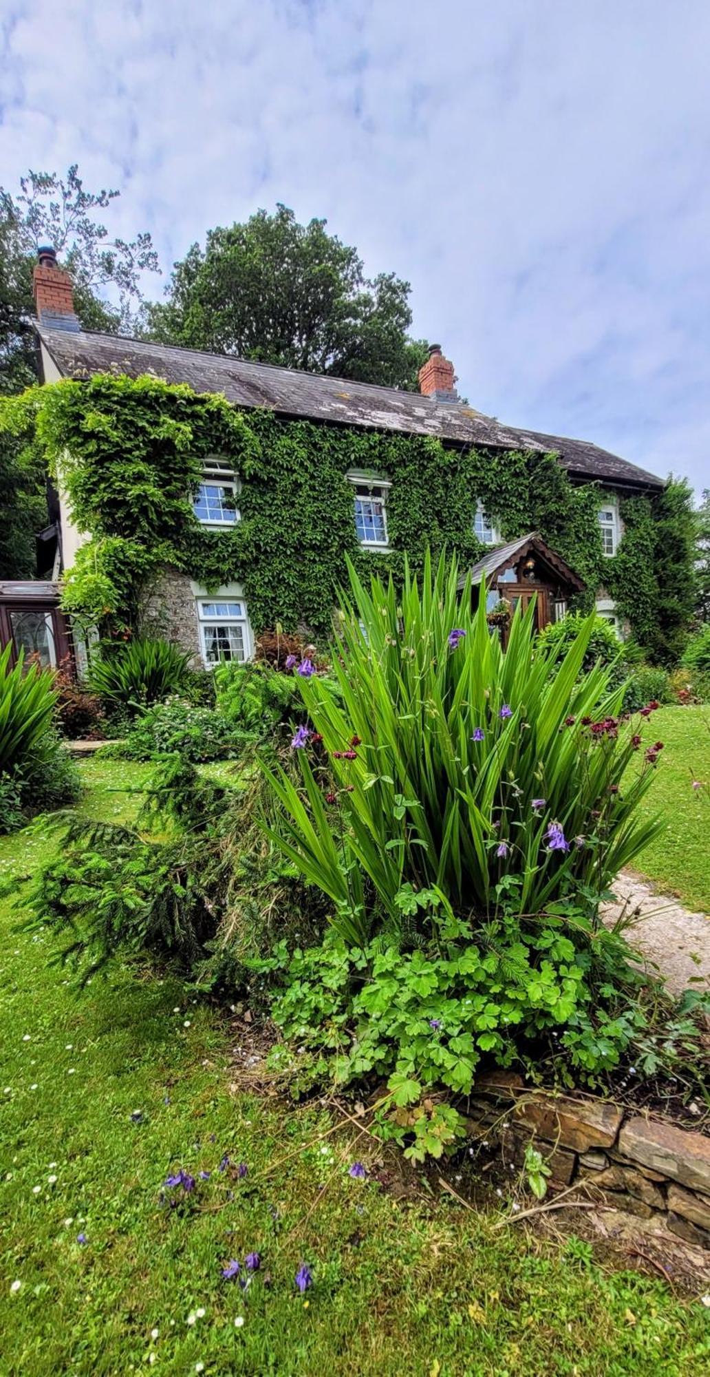 Kingsley Cottage - Beautiful Riverside Setting Beaworthy Extérieur photo