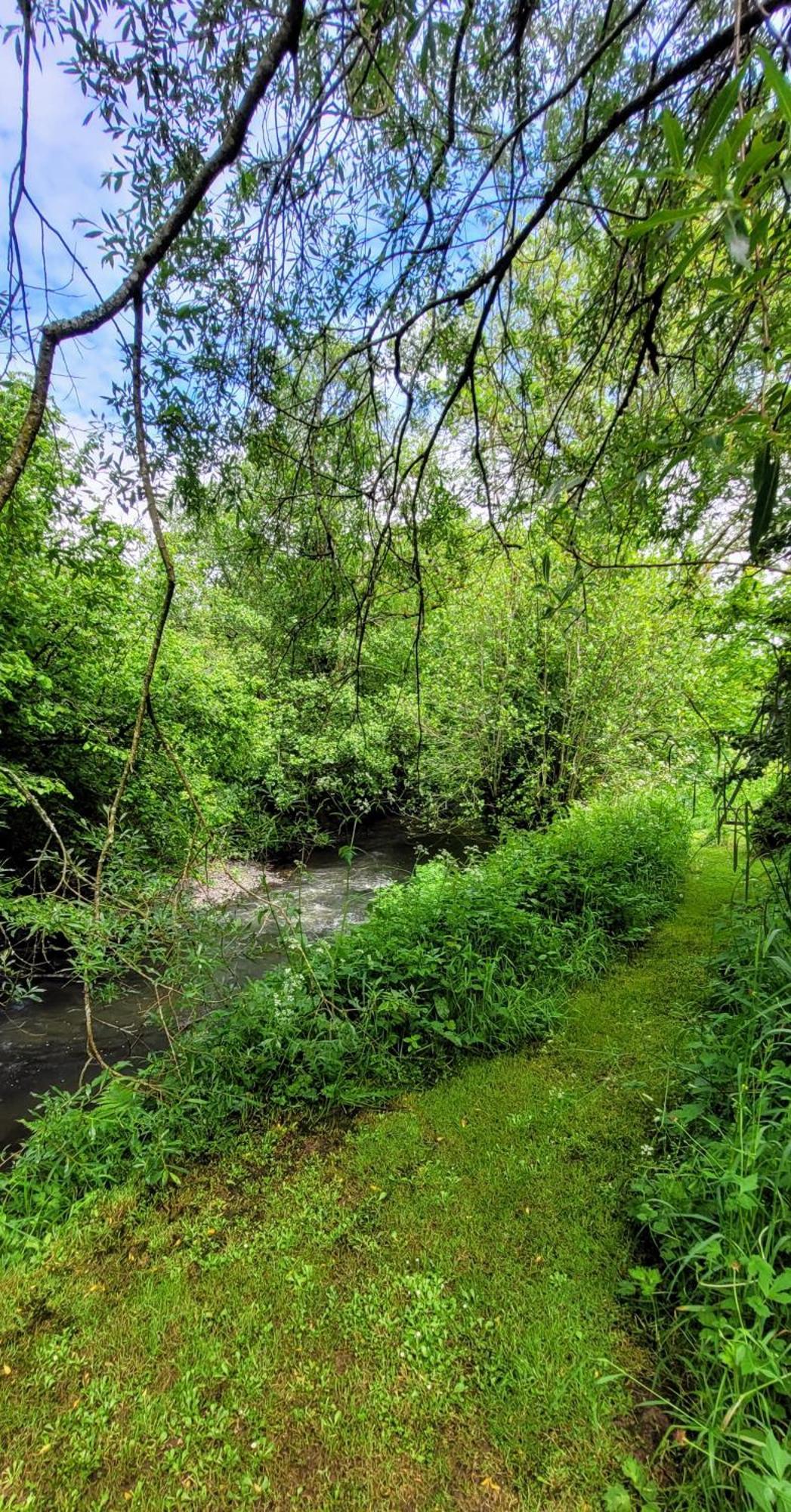 Kingsley Cottage - Beautiful Riverside Setting Beaworthy Extérieur photo
