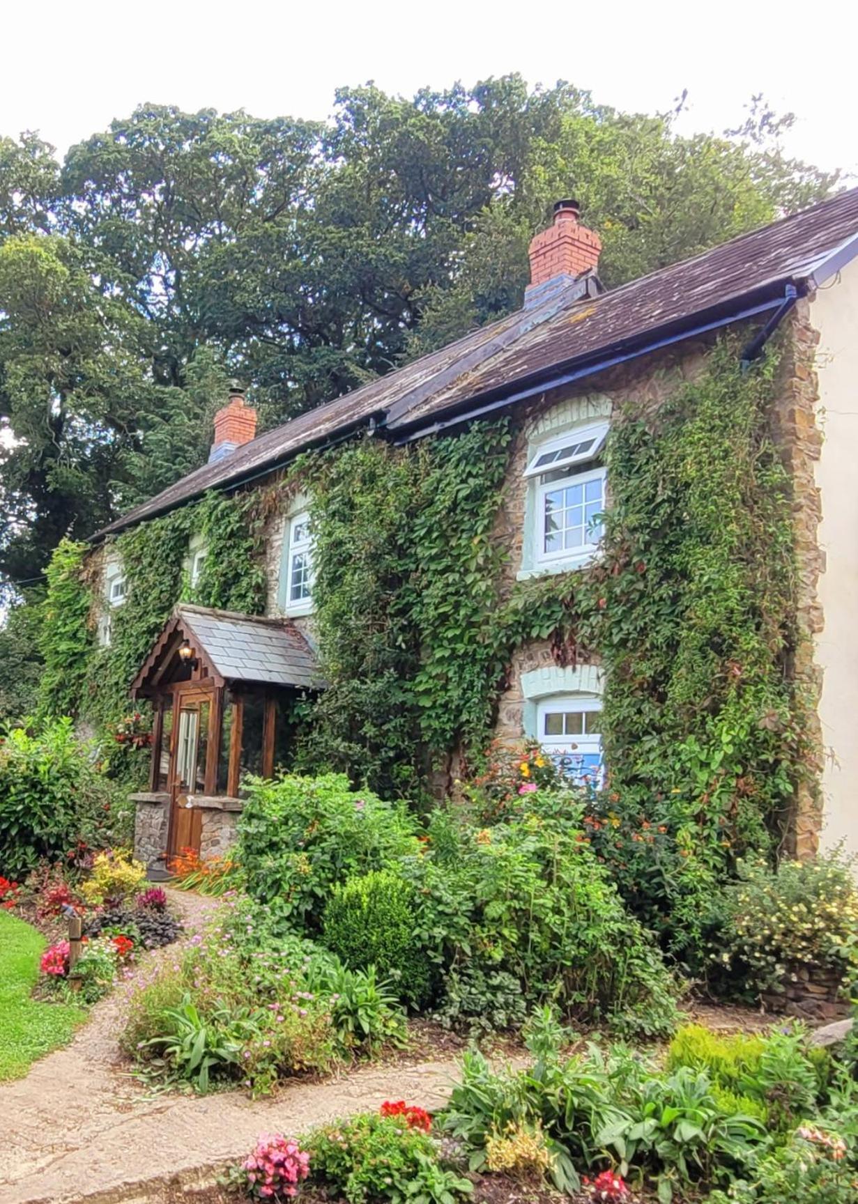 Kingsley Cottage - Beautiful Riverside Setting Beaworthy Extérieur photo