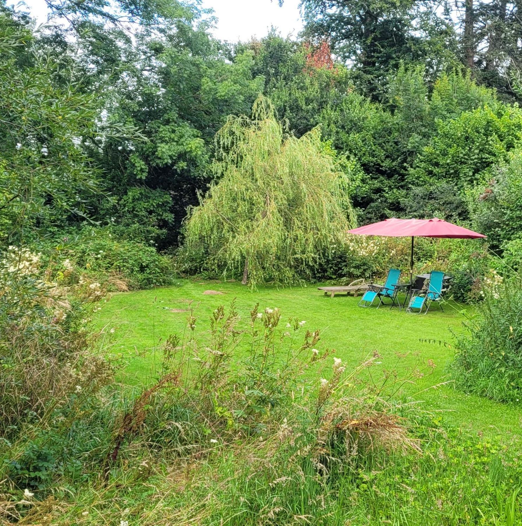 Kingsley Cottage - Beautiful Riverside Setting Beaworthy Extérieur photo